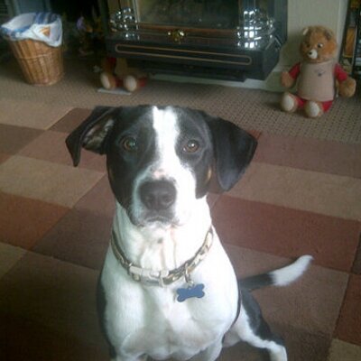 Profile Picture of neil dawes (@neil670) on Twitter