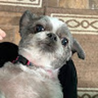 Profile Picture of Carly Ackerman (@carly-ackerman-6) on Quora