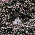 Profile Picture of Rahmani Sepriana Anwar (@rahmanisepriana) on Instagram