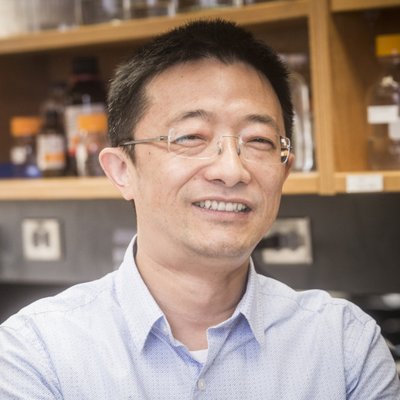 Profile Picture of @Xinyang (@xz_birmingham) on Twitter