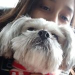 Profile Picture of Mona Peluda Hidalgo Romero (@mona_hildalgo2.0) on Instagram