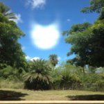 Profile Picture of Shawn Liu (@sdredge) on Instagram