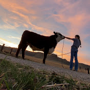 Profile Picture of Dani Hess (@danihess677) on Youtube