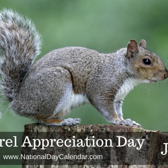 Profile Picture of Sarah Ewaskowitz (@sarahewaskowitz) on Poshmark