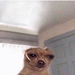 Alexander Heath Burnside - Instagram Profile Picture of Alexander Heath Burnside (@unbasedbob) on Instagram