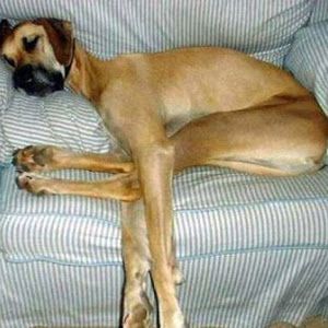 Profile Picture of John Paclee (@johnpaclee) on Tiktok