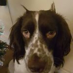 Profile Picture of Joyce Tait (@joyce.tait.716) on Instagram