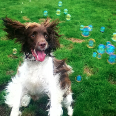 Profile Picture of Steve Fenton (@Hypnotoad123) on Twitter