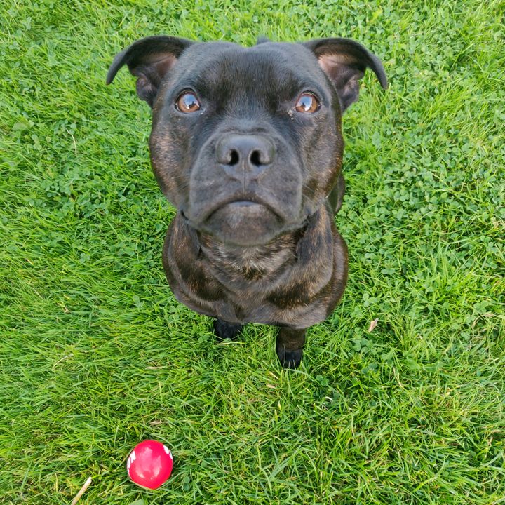 Profile Picture of alexjenssen (@alexjenssen) on Tiktok