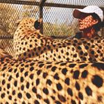 刘奕彤 - Instagram Profile Picture of 刘奕彤 (@yitong.l.iu) on Instagram