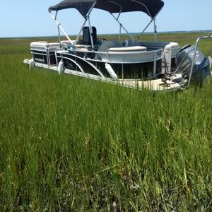 Profile Picture of Daryl Parks (@daryl_parks) on Twitter