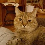Profile Picture of Jerry Frazier (@jerry.frazier.3192) on Instagram