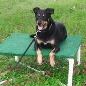 Profile Picture of David Cochran (@TheCochrandh) on Youtube