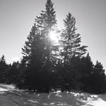 Profile Picture of Zachary Jessen (@zjess2014) on Instagram