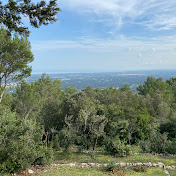 Alessandro Perilli - Youtube Profile Picture of Alessandro Perilli (@alessandroperilli1762) on Youtube