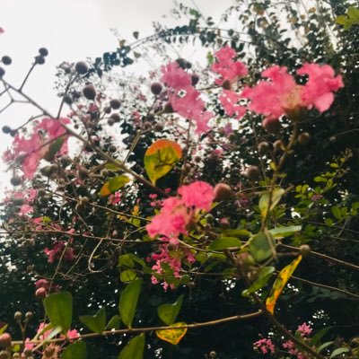 Profile Picture of Jacky Liu (@jackyliuyat) on Twitter