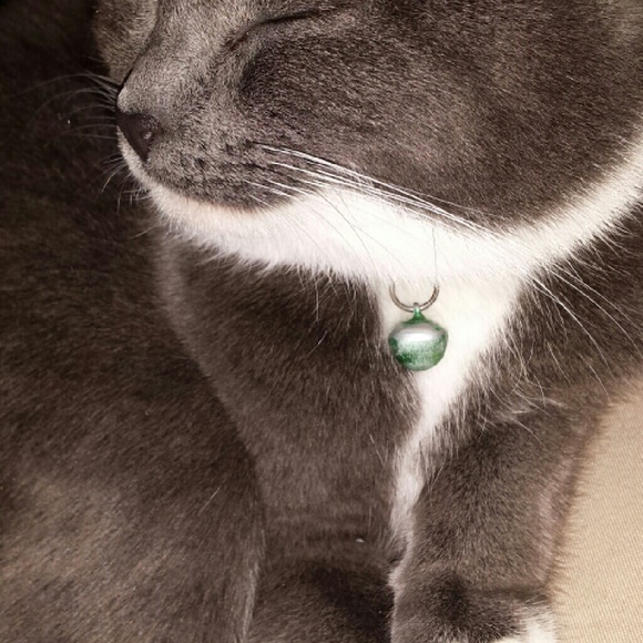 Profile Picture of Kara Foss (@klfoss) on Poshmark