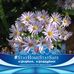 Profile Picture of Ida Joseph (@ida.joseph.7355) on Facebook