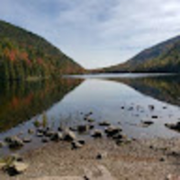 Profile Picture of Peter Auwerda (@mirpetauwerda) on Poshmark