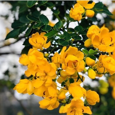 Profile Picture of Danny Houle (@Dannyhoule57101) on Twitter