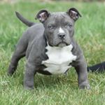 Profile Picture of Lynn Keith Hargraves Sr. (@lynnkeithhargraves) on Instagram