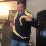 Profile Picture of Gary Branch (@gary.reptile.man) on Instagram