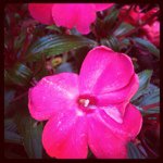 Profile Picture of Brooke Blain (@jasonblain) on Instagram