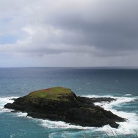 Profile Picture of Adam Yeung (@adam-yeung-4) on Quora