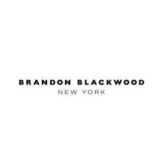 Brandon Blackwood chats with Elaine Welteroth about Black luxury