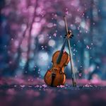 Profile Picture of Mohd Khalid ahmed (@mohdkhalid_ahmed) on Instagram