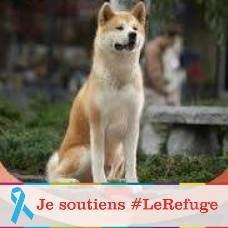 Profile Picture of MARTIN Guy Philippe (@MARTINGU2) on Twitter