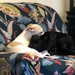 Profile Picture of janet welsh (@janet_welsh46) on Instagram