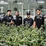 Profile Picture of Steven Matthews (@stevenmatthewsttbbe) on Instagram