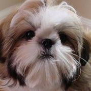 Profile Picture of Barbara Crain (@grannie14) on Pinterest