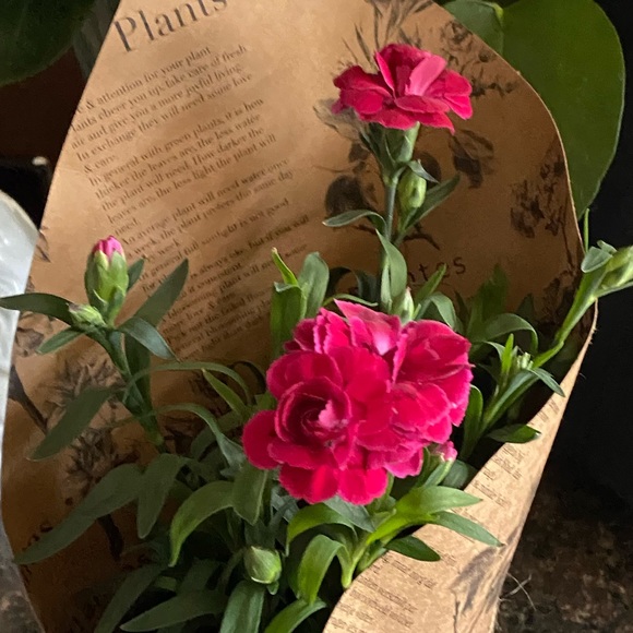 Profile Picture of Ruby Prieto (@rubyp04) on Poshmark