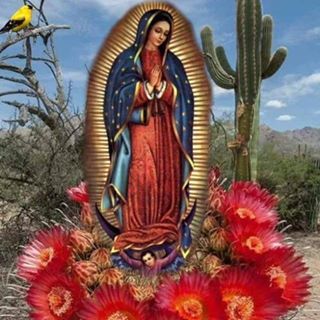 Profile Picture of Isel Perez (@isel.perez.334) on Facebook