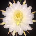 Profile Picture of Jufry Bram (@Jufry-Bram) on Facebook