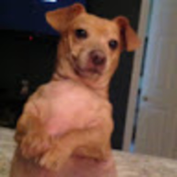 Profile Picture of Studio Baebabe (@studiobaebabe) on Poshmark