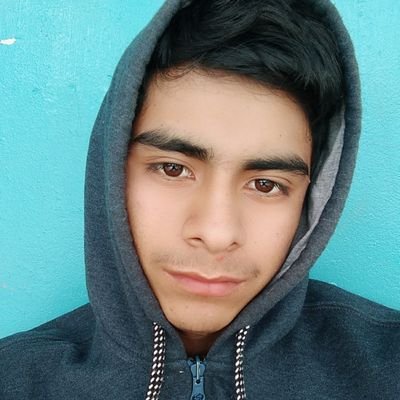 Profile Picture of Gabriel Silvera Caceres (@caceres_silvera) on Twitter