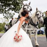 Profile Picture of Jessica Valitchka Wesley (@jess_wes2019) on Instagram