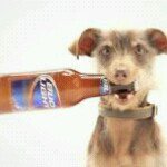 Profile Picture of Joey Juarez (@krakerjax) on Instagram