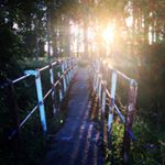 Profile Picture of M Linsley Photography (@marklinsley) on Instagram