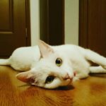 Profile Picture of Takuya Sekizaki (@takuyasekizaki) on Instagram