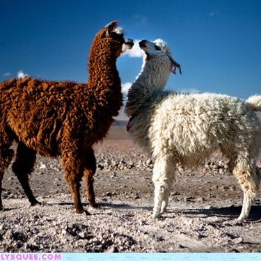 Profile Picture of Rachel Conway (@@missrach880) on Twitter