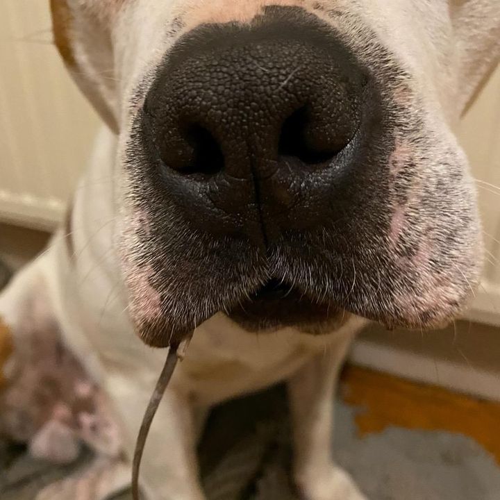 Patrick Hickey - Tiktok Profile Picture of Patrick Hickey (@@tikingnotok) on Tiktok