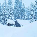 Profile Picture of Craig McDonald (@craig_mcdonald11) on Instagram