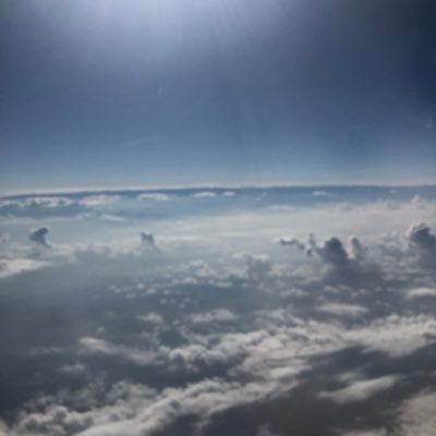 Profile Picture of Nestor Sanchez (@nestorsanchez12) on Twitter
