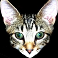 Profile Picture of Chris Charette (@chris-charette-14) on Quora