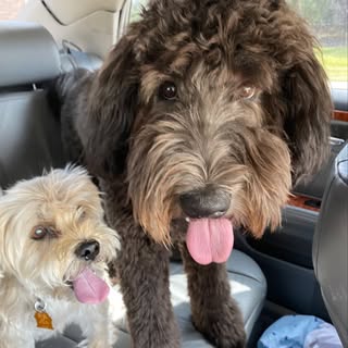 Profile Picture of jeffhaase (@jeffhaase) on Instagram