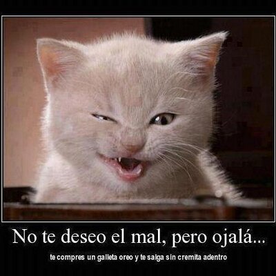 Profile Picture of LEIDY ALCANTARA (@leidymaryalcant) on Twitter